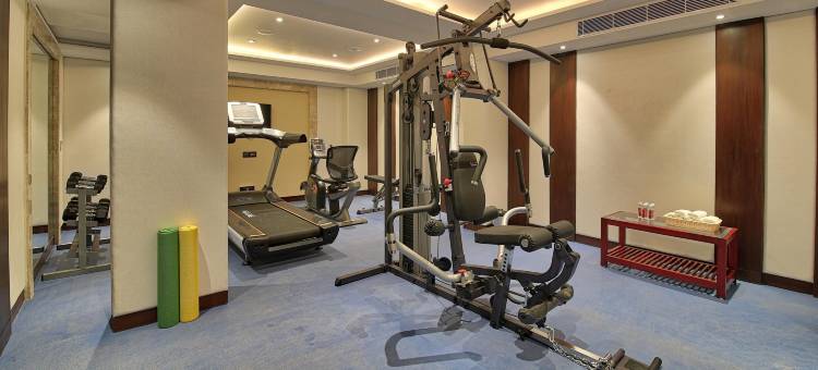 金色郁金香酒店精选齐普尔(Golden Tulip Essential Jaipur)图片