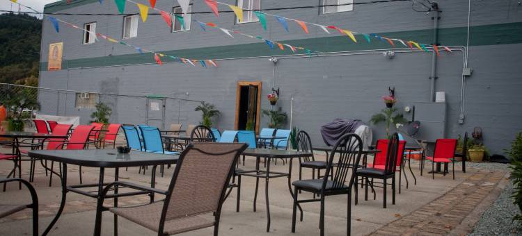 绿树酒店(The Green Tree Hotel)图片