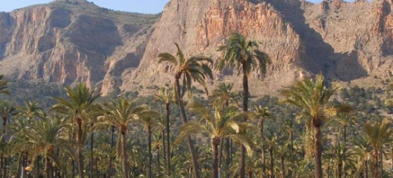 雷伊提奥多汨罗旅馆(Hostal Rey Teodomiro)图片