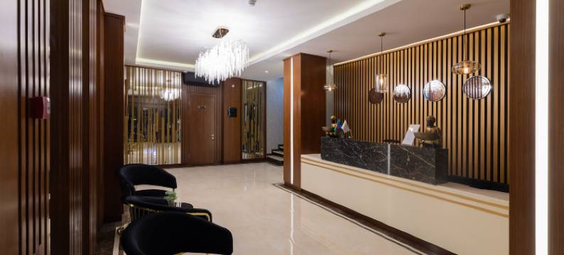 巴库梅里达酒店(Merida Hotel Baku)图片