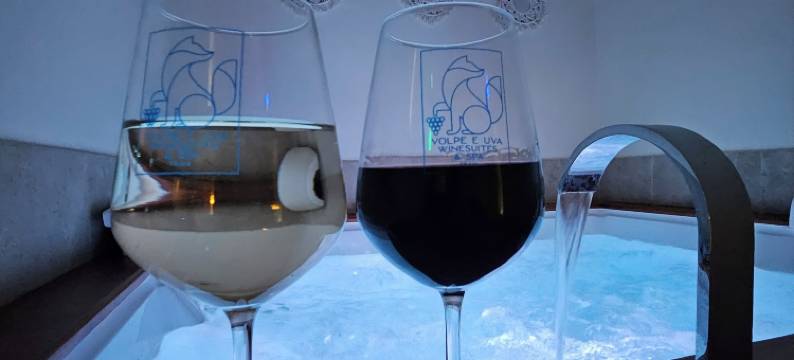 狐狸与葡萄酒套房及水疗中心(VOLPE E UVA Winesuites & Spa)图片