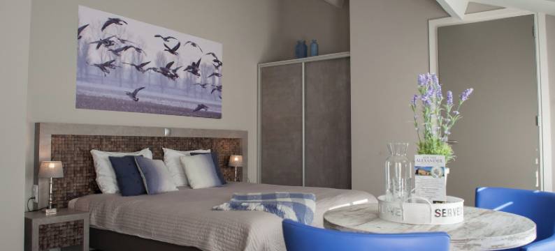 亚历山大庄园 - 精品酒店(Hof Van Alexander Boutiquehotel)图片