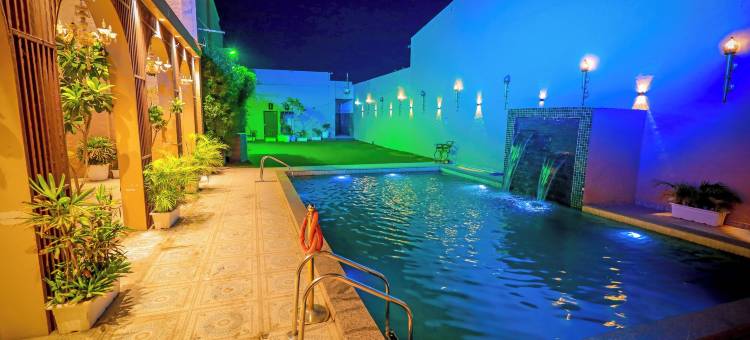 假日绿洲(Holiday Green)图片