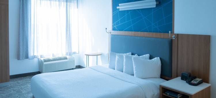 达拉斯路易斯维尔万豪SpringHill Suites 酒店(SpringHill Suites Dallas Lewisville)图片