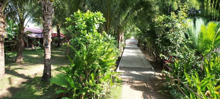 椰子民宿(Coconut homstay)图片