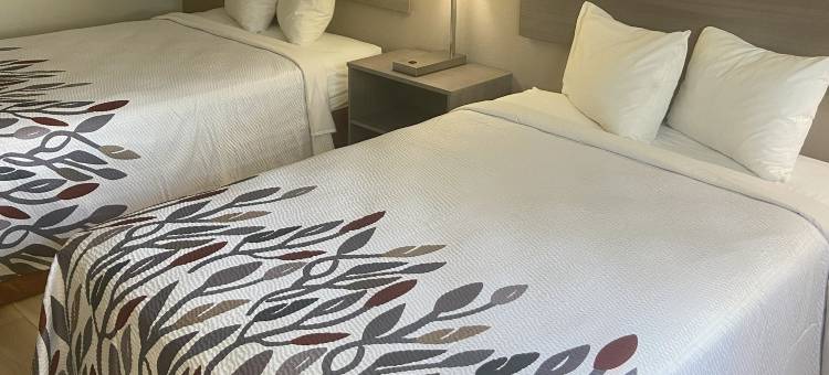 昆斯伯里红屋顶酒店(Red Roof Inn Queensbury)图片