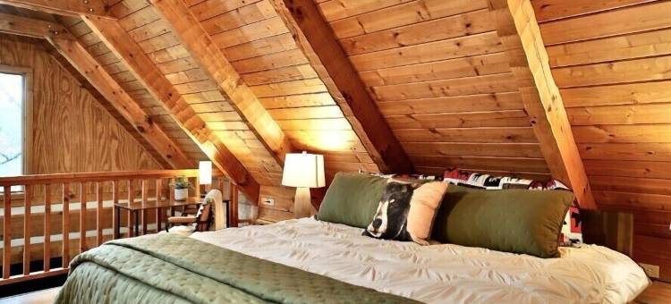 乡村倒带(Rustic Rewind)图片