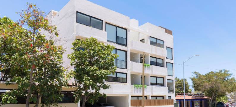 科尔梅纳马里纳卡波(Colmena Marina Cabos)图片