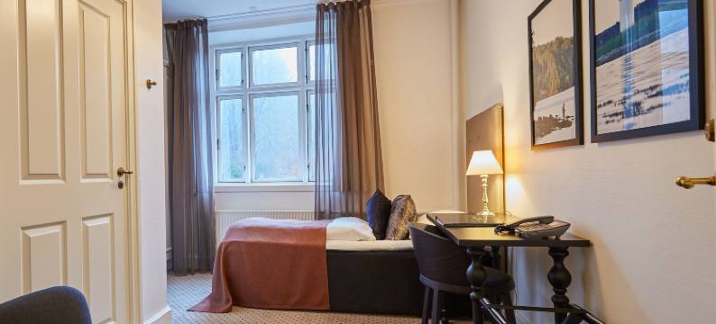 维杰尔福德会议酒店(Hotel Vejlefjord)图片