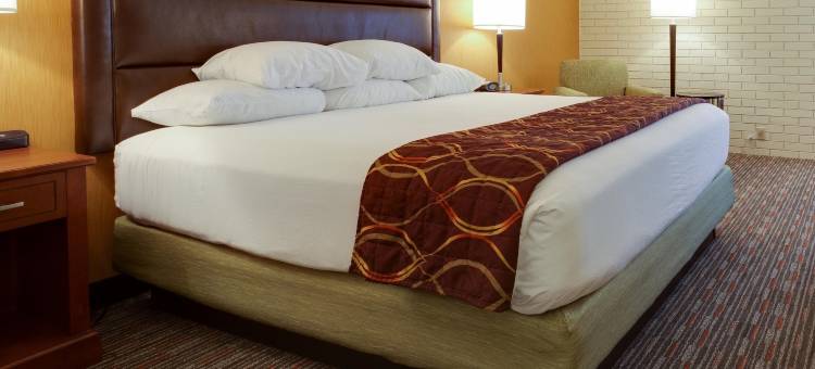 丹佛科技中心德鲁里套房酒店(Drury Inn & Suites Denver Tech Center)图片