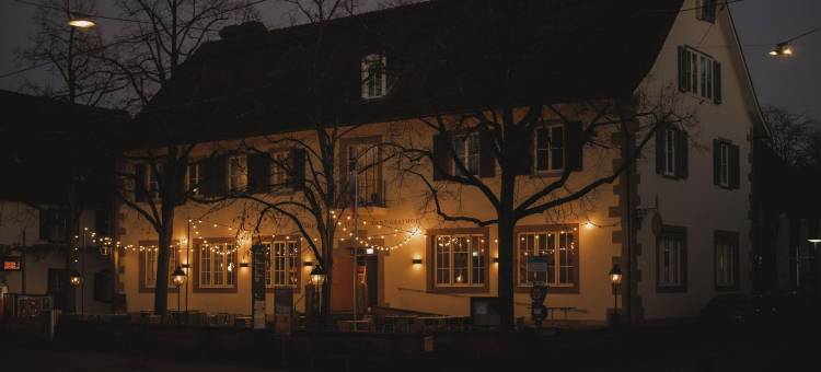 兰德斯霍夫酒店(Landgasthof Riehen Hotel and Restaurant, Basel)图片