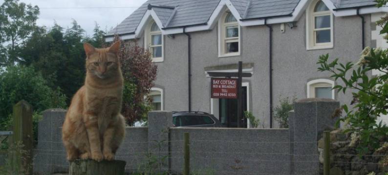 海湾小屋民宿(Bay Cottage Bed & Breakfast)图片