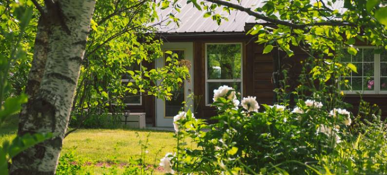 白水旅馆(Whitewater Lodge)图片