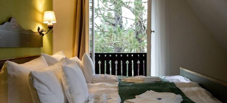 Zum See酒店(Hotel Zum See, Titisee)图片