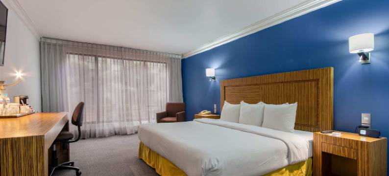 托卢卡丽笙酒店及会议中心(Radisson Hotel Convention Center Toluca)图片