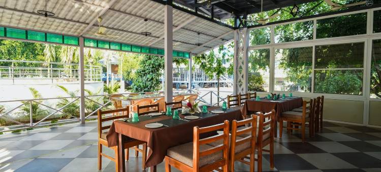 MGM Whispering Wind's Yelagiri图片