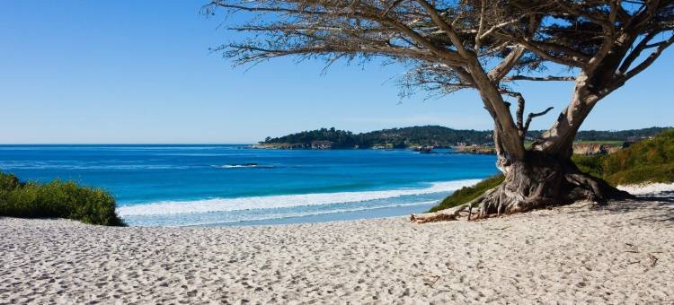 蒙特雷半岛机场舒适酒店(Comfort Inn Monterey Peninsula Airport)图片