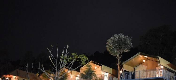 雪松营地(Camp Cedar)图片