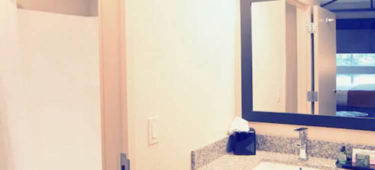 努克仓库酒店(Warehouse Hotel at the Nook)图片