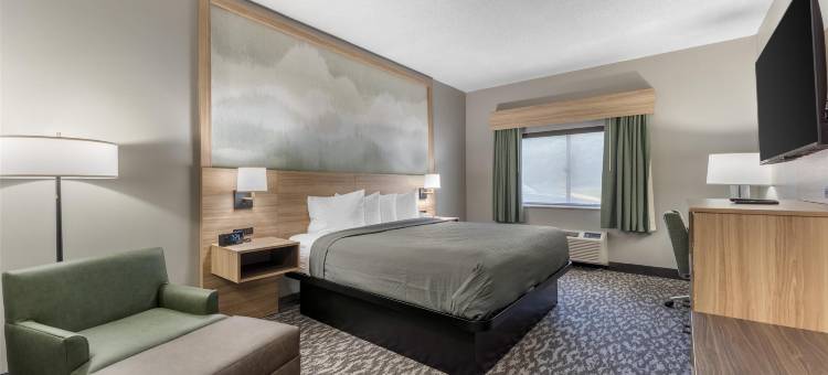 行政贝斯特韦斯特优质酒店(Best Western Plus Executive Inn)图片