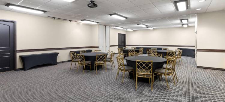 布朗伍德拉昆塔温德姆套房酒店(La Quinta Inn & Suites by Wyndham Brownwood)图片