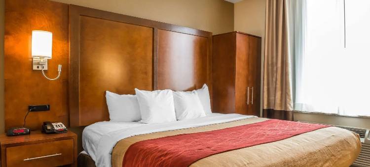 舒适酒店(Comfort Inn)图片