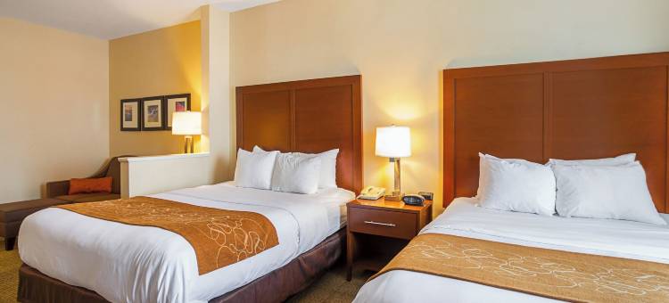 特温斯堡舒适套房酒店(Comfort Suites)图片
