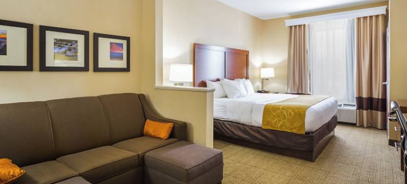 特温斯堡舒适套房酒店(Comfort Suites)图片