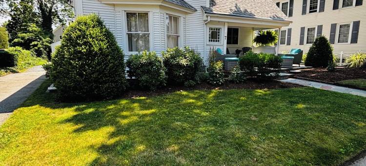 sisu，精品汽车旅馆(Sisu, a Boutique Motel)图片