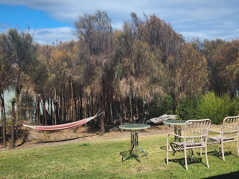 碎木开放式公寓住宿酒店