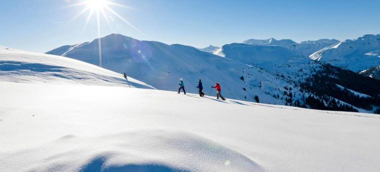 JUFA 普拉奈拉姆酒店(Jufa Hotel Planneralm)图片