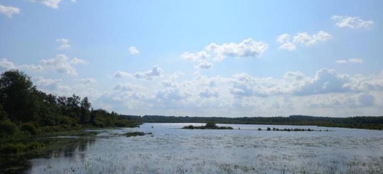 Wildlife Haven Near Le Pouldu图片