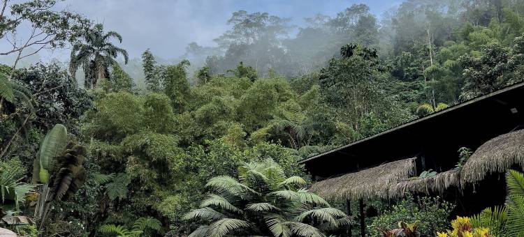 库野纳亚马逊旅馆(Kuyana Amazon Lodge)图片