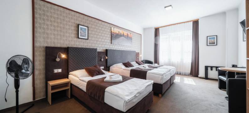 霍默斯拉尼旅馆(Penzion Homér Slaný)图片