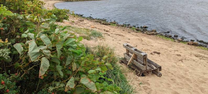 2 person holiday home in Tarm-By Traum图片