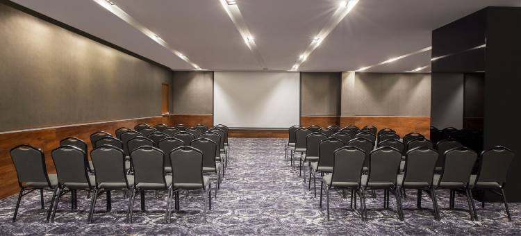 埃莫西美洲嘉年华酒店(Fiesta Americana Hermosillo)图片