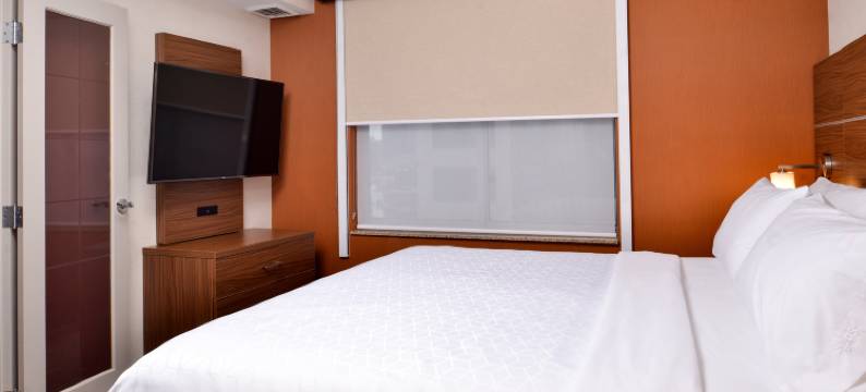 布法罗市中心智选假日套房酒店(Holiday Inn Express & Suites BUFFALO DOWNTOWN - MEDICAL CTR by IHG)图片