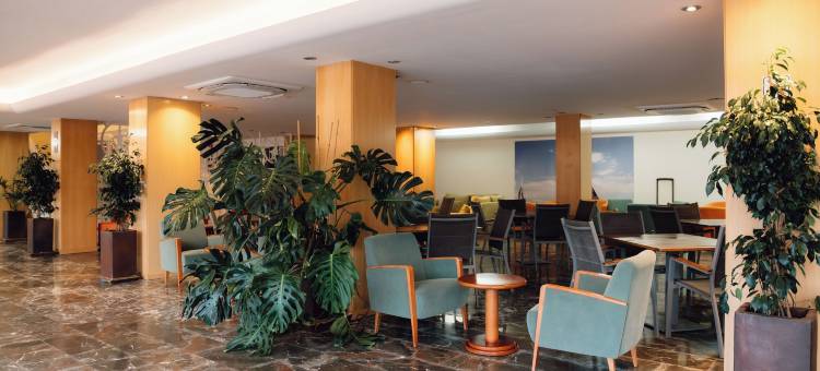 月亮梦珊瑚海滩(Hotel Moon Dreams Coral Beach)图片