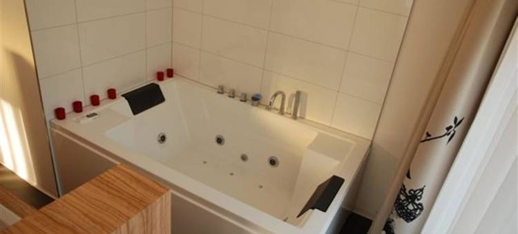 阿姆拉斯阿默斯福特山酒店(Amrâth Berghotel Amersfoort)图片