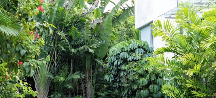 CASA by Tribhav图片