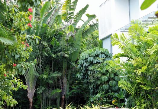 El Tesoro-II J3 Hotel Overview