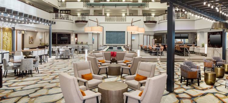 拉雷多希尔顿希尔顿安泊酒店(Embassy Suites by Hilton Laredo)图片