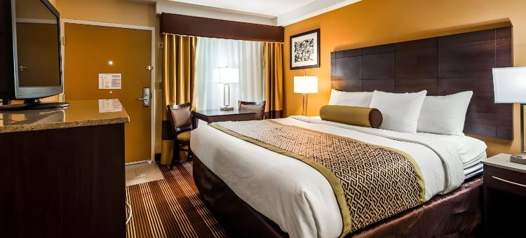 Cape Cod Hotel图片