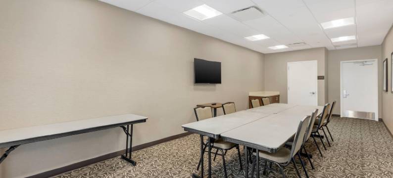 舒适套房旅馆(Comfort Inn & Suites)图片