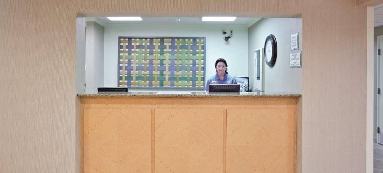 曼斯费尔德拉昆塔温德姆套房酒店(La Quinta Inn & Suites by Wyndham Mansfield Oh)图片