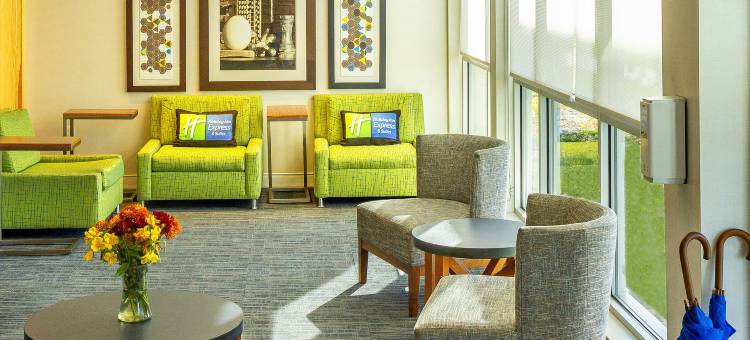 智选假日套房酒店-托莱多西(Holiday Inn Express & Suites TOLEDO WEST by IHG)图片