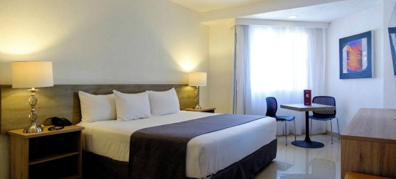 拉法叶行政酒店(Hotel Laffayette Ejecutivo)图片