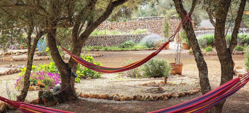 Sa Canova农场乡村旅馆(Finca Sa Canova Agroturismo)图片