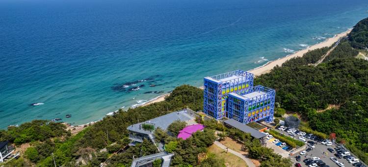 哈斯拉艺术世界博物馆酒店(Haslla Art World Museum Hotel)图片