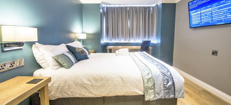 海豚客房公寓(Dolphin Rooms)图片